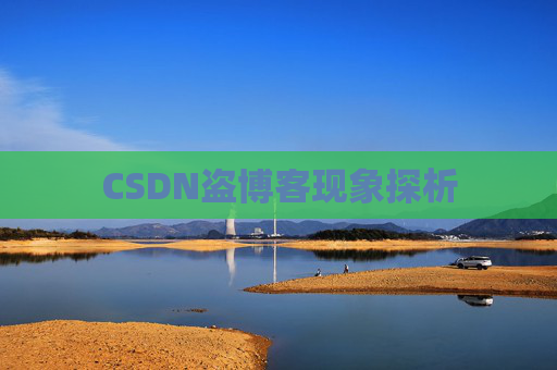 CSDN盗博客现象探析